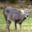 sample_image_1