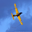 sample_image_5
