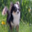 sample_image_15