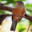 sample_image_9