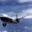 sample_image_4