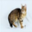sample_image_28