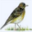 sample_image_12
