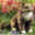sample_image_22