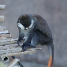 sample_image_16