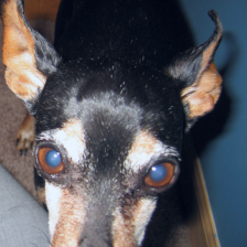 sample_image_20