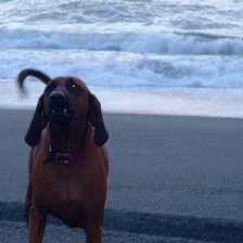 sample_image_8