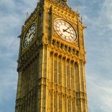 sample_image_21