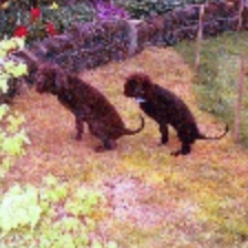 sample_image_14