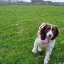 sample_image_30