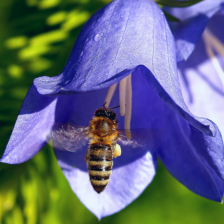 sample_image_13