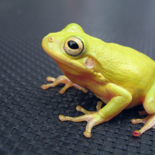 sample_image_25